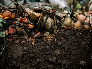 compostagem-como-fazer-como-transformar-restos-de-alimentos-em-adubo