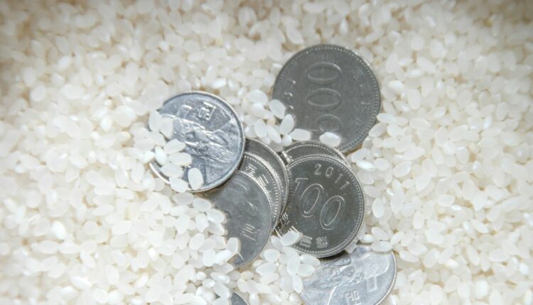 arroz-e-dinheiro1.jpg